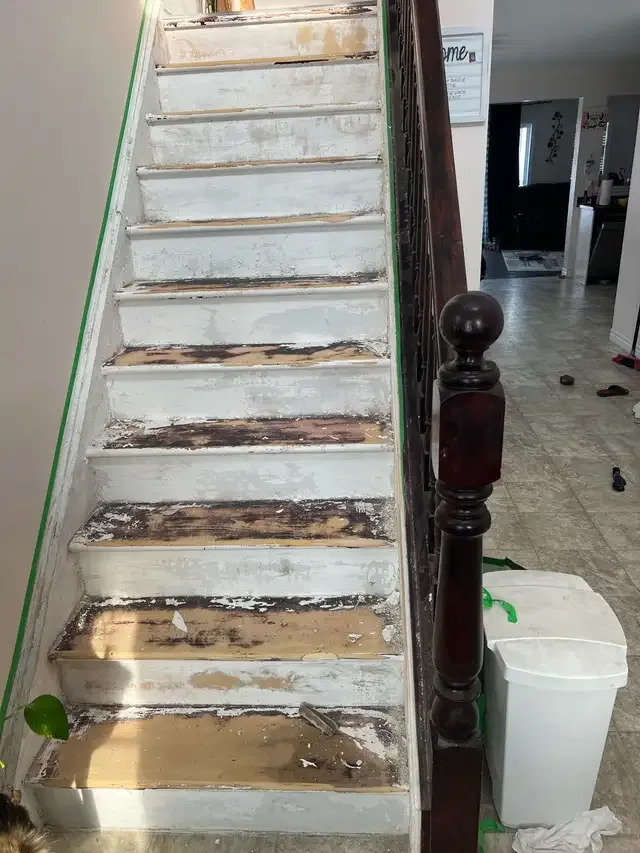 Rance Handyman Services in Renovations, General Contracting & Handyman in London - Image 10