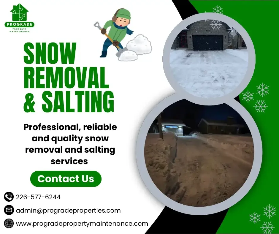 Image from Prograde Property Maintenance Inc's saved profile