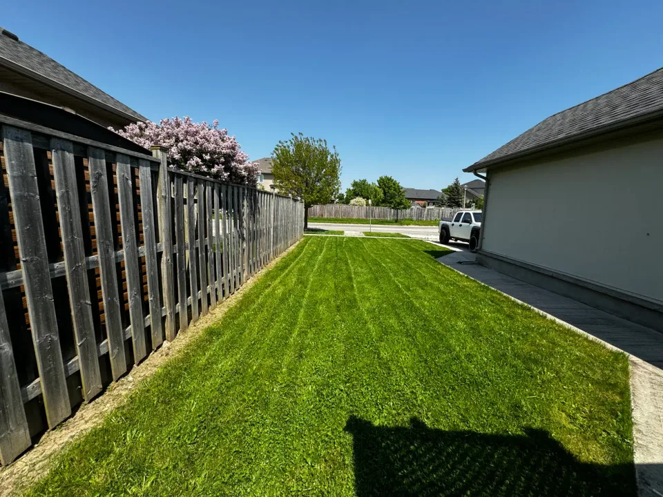 Image from MAGZ CONTRACTING's saved profile
