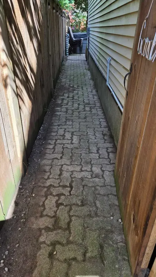 Fall cleanup yard cleaning in Lawn, Tree Maintenance & Eavestrough in London - Image 6
