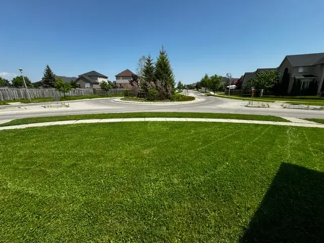 FALL CLEAN UP / SNOW REMOVAL / LAWN CUTTING in Lawn, Tree Maintenance & Eavestrough in London - Image 6