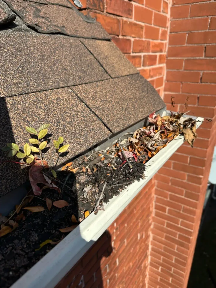 Image from Prograde Property Maintenance Inc's saved profile