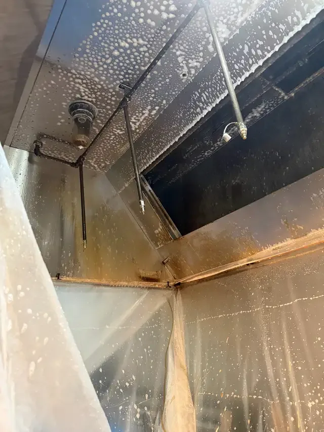 Golden House cleaning in Cleaners & Cleaning in London - Image 11
