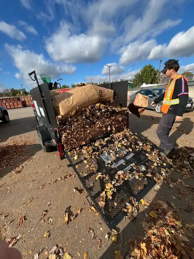 Fall Yard Clean Ups, Leaf Removal, Gutter Cleaning More in Lawn, Tree Maintenance & Eavestrough in London - Image 3