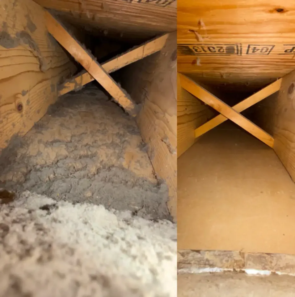 Image from Golden House Cleaning's saved profile