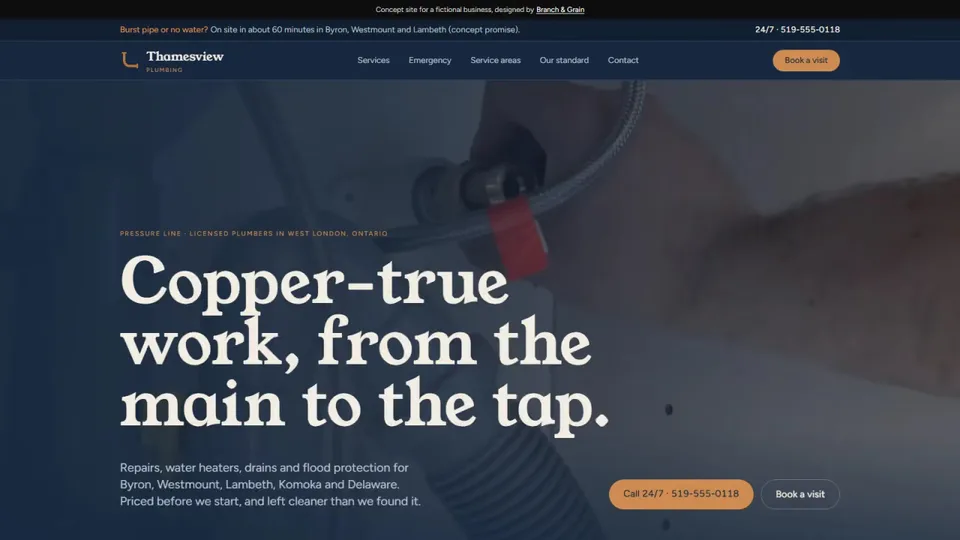 The Thamesview Plumbing homepage: Copper-true work, from the main to the tap.