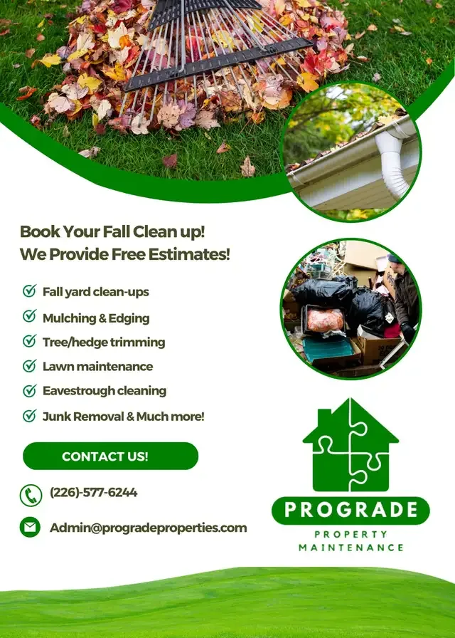 Fall Yard Clean Ups, Leaf Removal, Gutter Cleaning More in Lawn, Tree Maintenance & Eavestrough in London - Image 2
