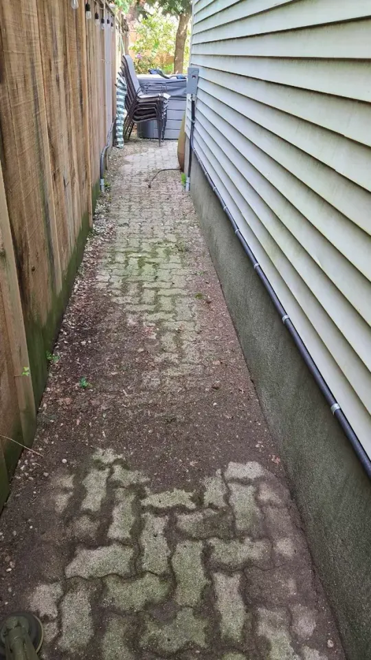 Fall cleanup yard cleaning in Lawn, Tree Maintenance & Eavestrough in London - Image 11