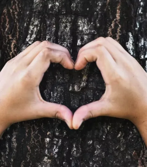 Saved source image