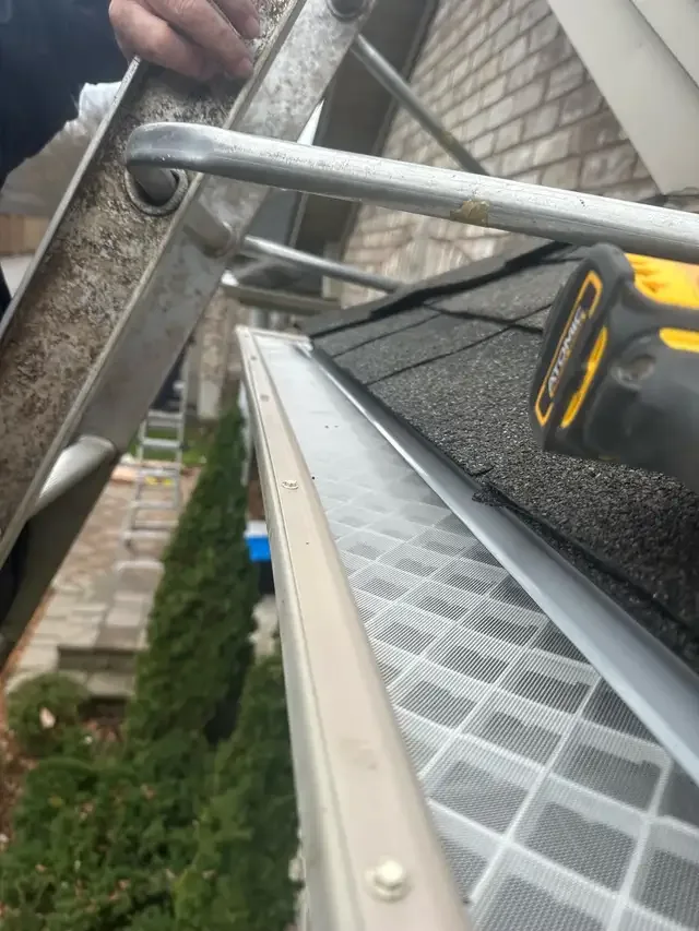 eavestrough cleaning and repairs gutter guards & tree cutting in Lawn, Tree Maintenance & Eavestrough in London - Image 3