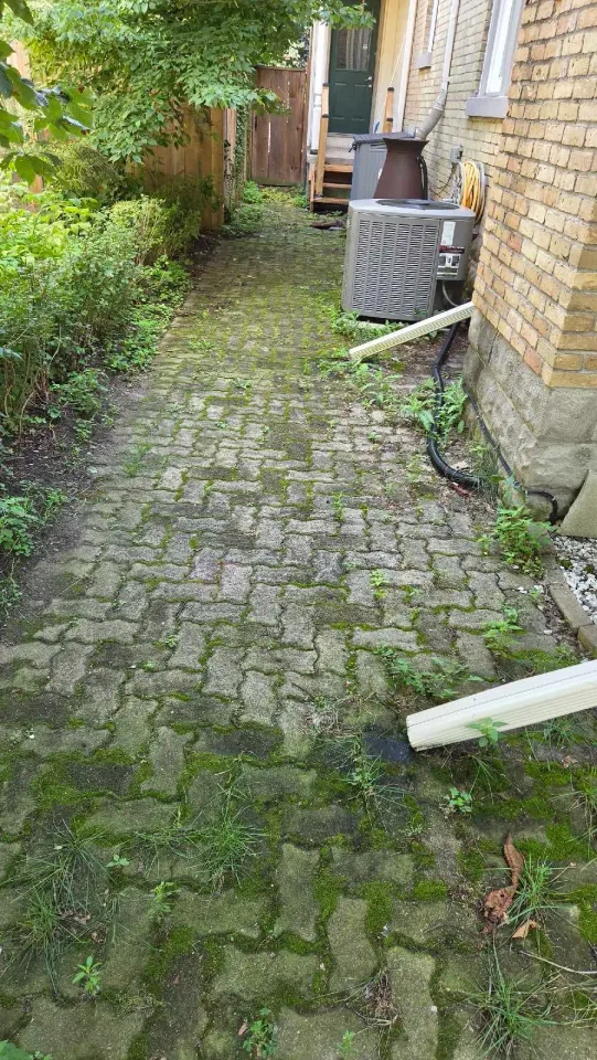 Image from Onl Service's saved profile