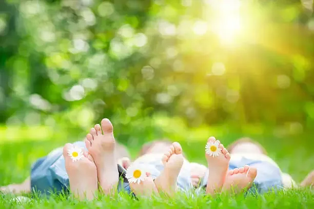 Reflexology - The Path to Complete Balance and Harmony. in Health and Beauty Services in London - Image 3