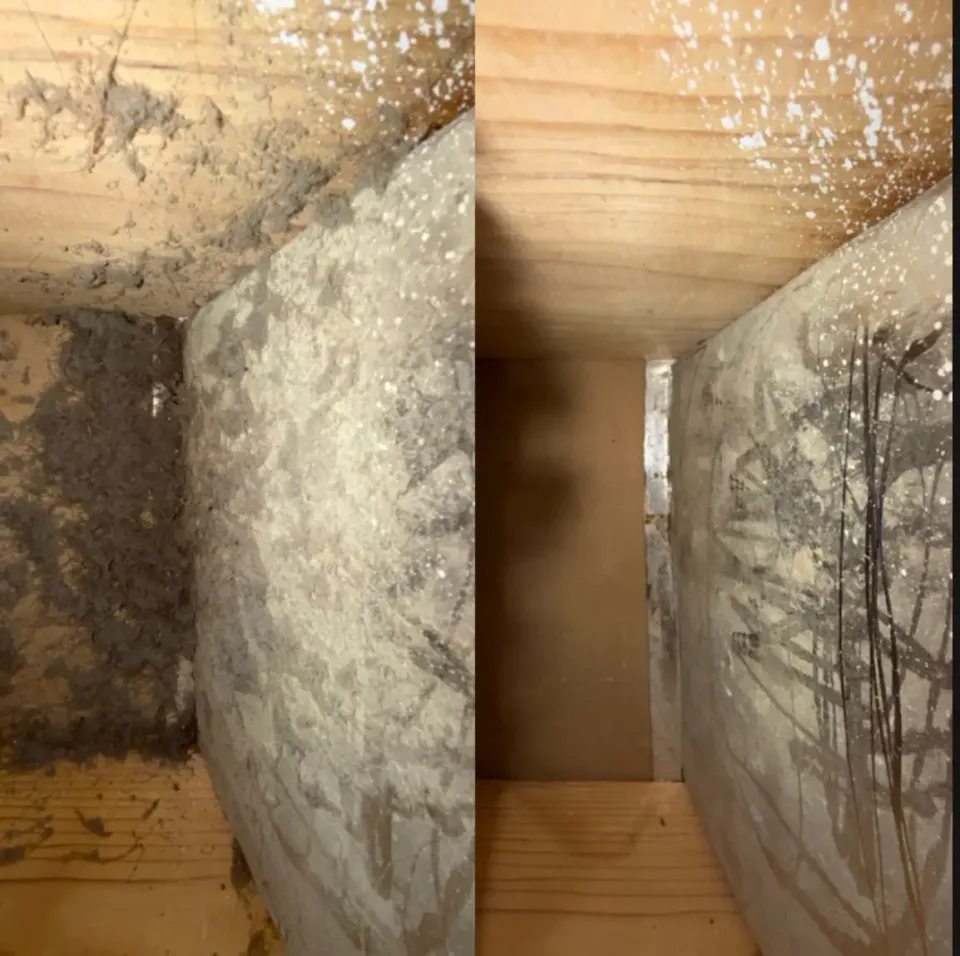 Image from Golden House Cleaning's saved profile