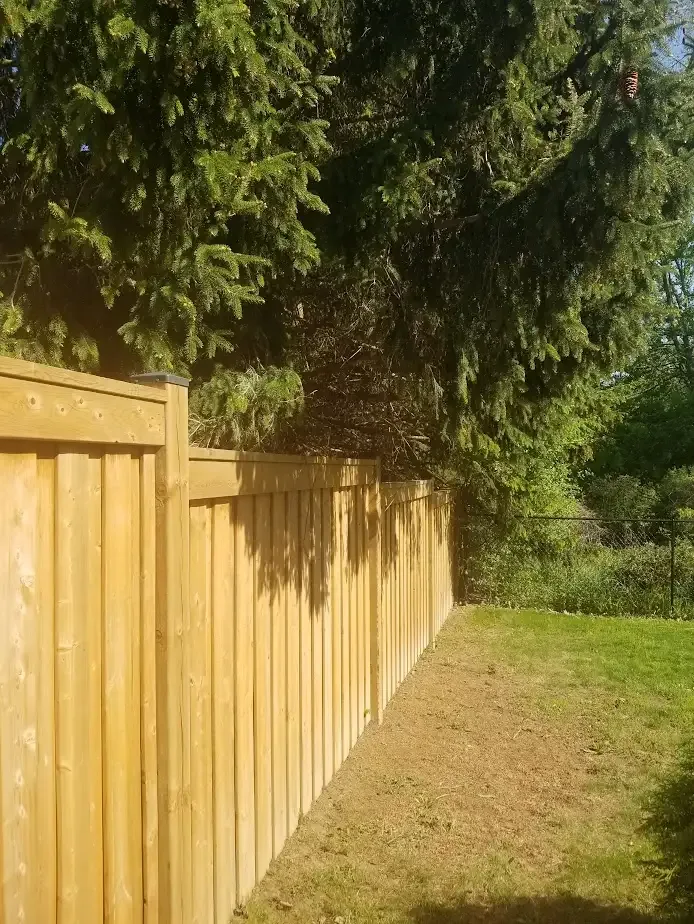 Image from Sean's Property Services's saved profile