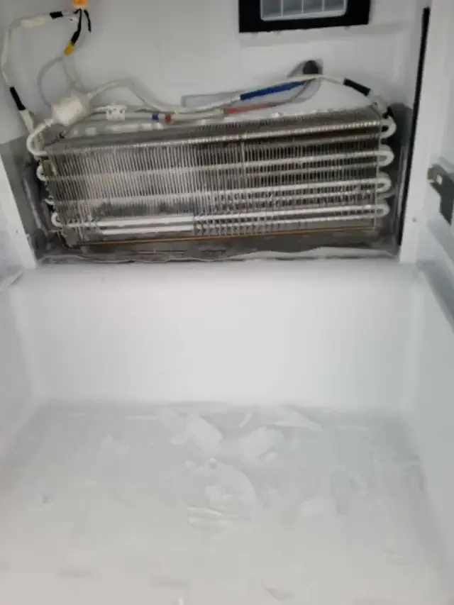 Photos