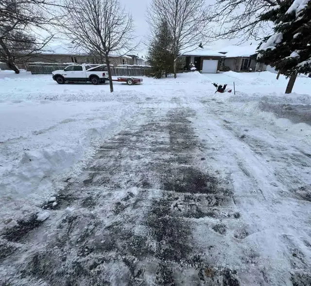 FALL CLEAN UP / SNOW REMOVAL / LAWN CUTTING in Lawn, Tree Maintenance & Eavestrough in London - Image 2