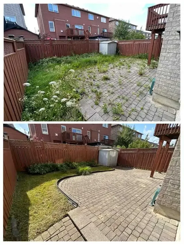 Yard Cleanups  / grass cutting/ more in Lawn, Tree Maintenance & Eavestrough in London - Image 4