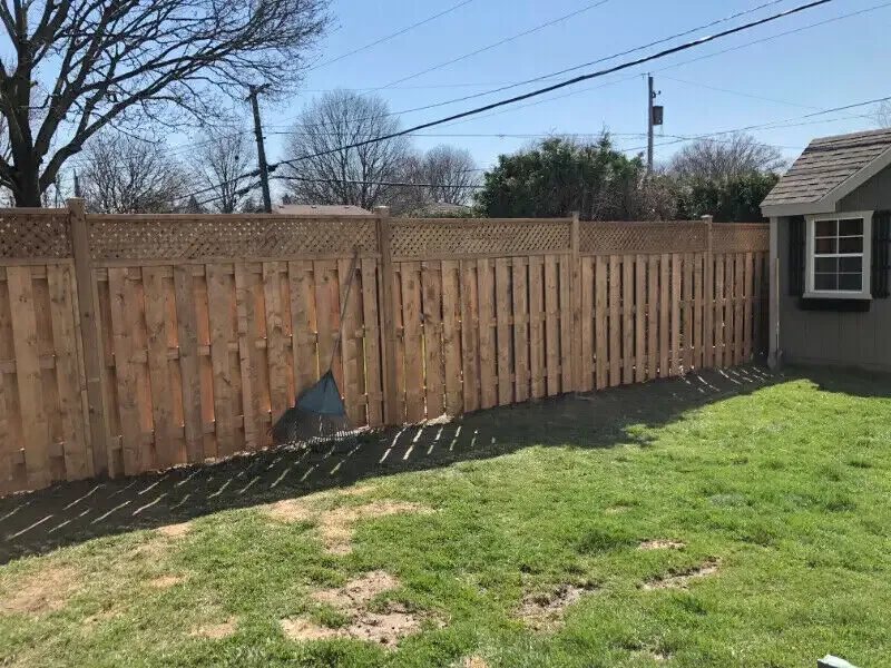 Image from Scott's saved profile