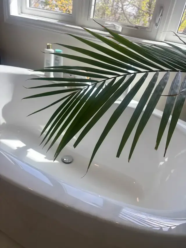 Professional Cleaning Services in Cleaners & Cleaning in London - Image 4