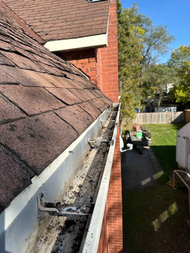 Image from Prograde Property Maintenance Inc's saved profile