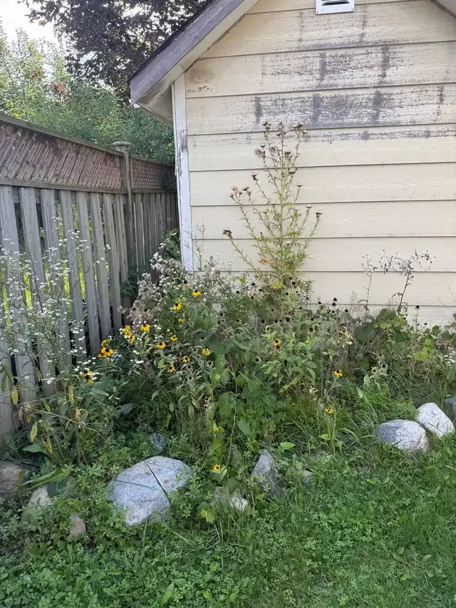 Fall lawn cleanup in Other in London - Image 6