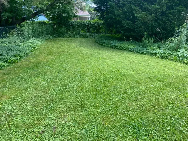 Fall lawn cleanup in Other in London - Image 3