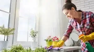 House Cleaning Services For London And Surrounding Areas in Cleaners & Cleaning in London - Image 2