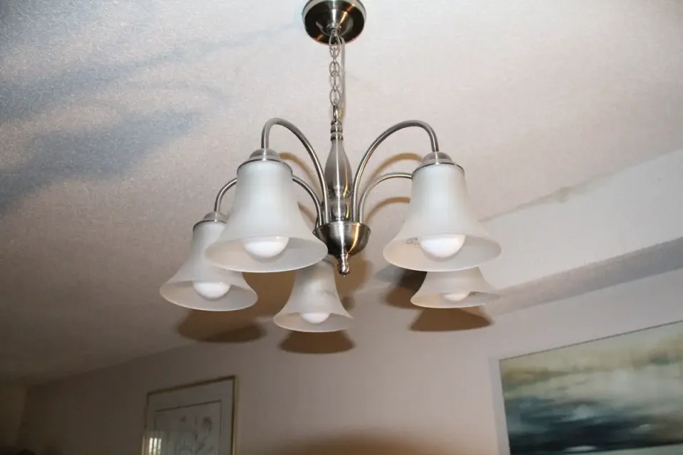 Image from Photo-video-Services's saved profile