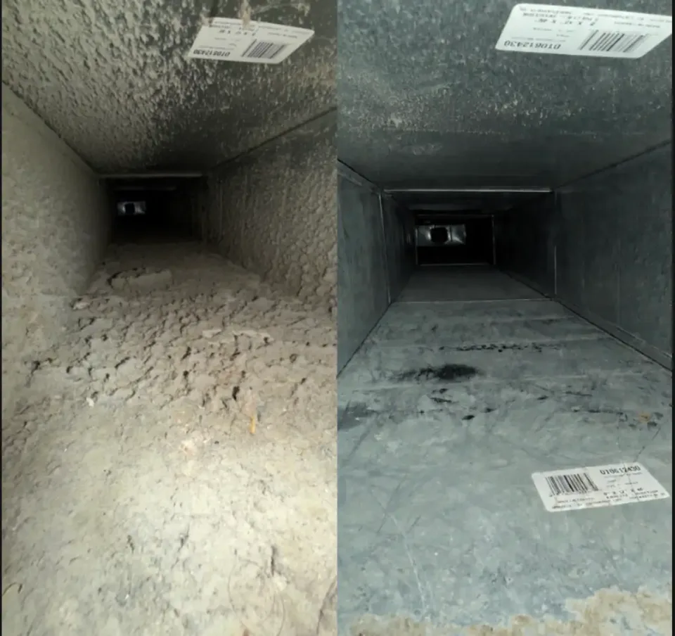 Image from Golden House Cleaning's saved profile