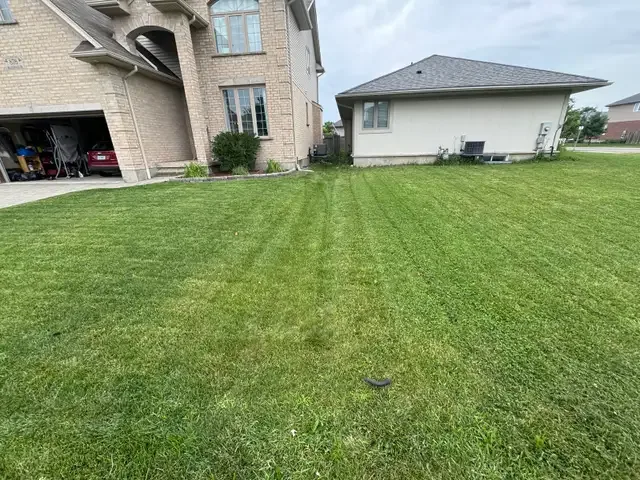 FALL CLEAN UP / SNOW REMOVAL / LAWN CUTTING in Lawn, Tree Maintenance & Eavestrough in London - Image 8