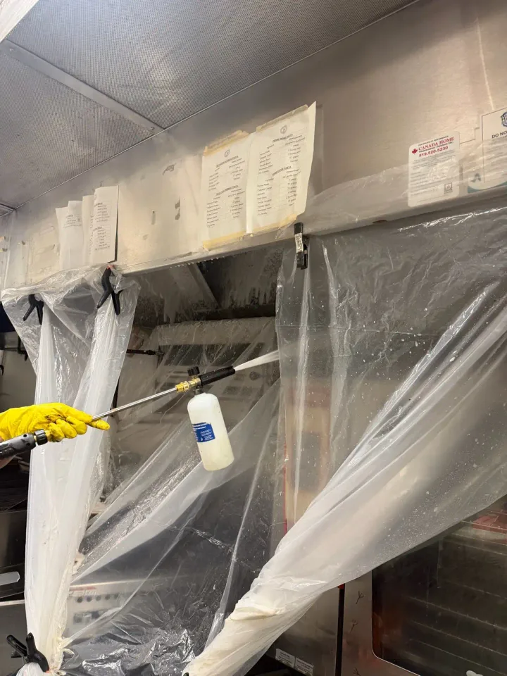 Image from Golden House Cleaning's saved profile