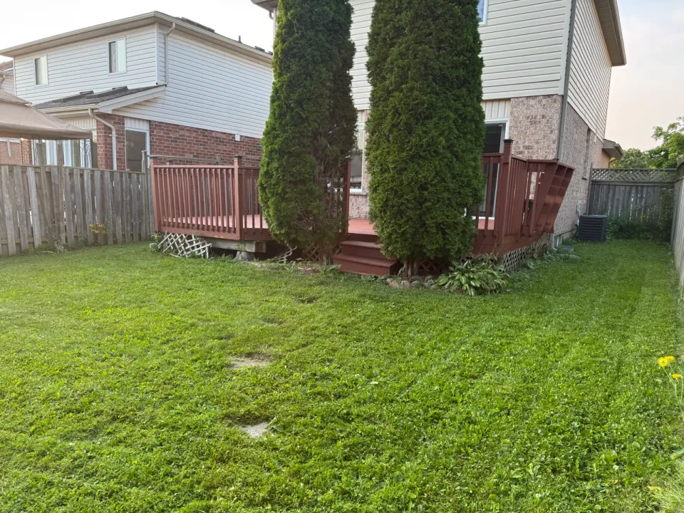 Image from MAGZ CONTRACTING's saved profile