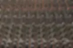 CF_-81.jpg