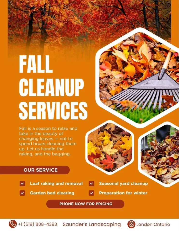 Image from Bb painting services's saved profile