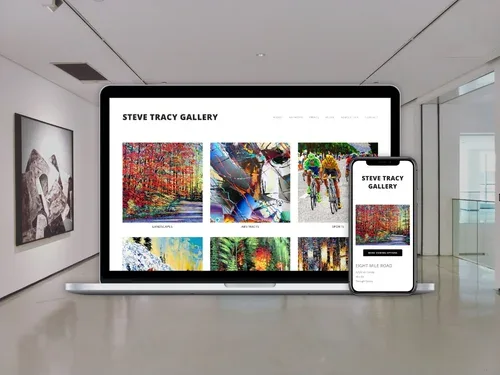 Steve Tracy Gallery Website