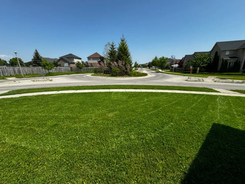 Image from MAGZ CONTRACTING's saved profile