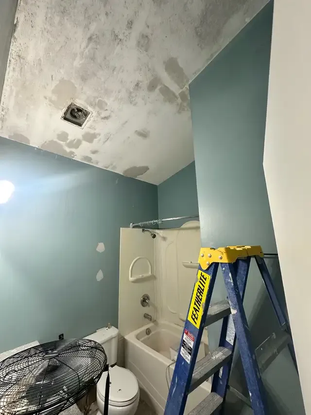 Photos