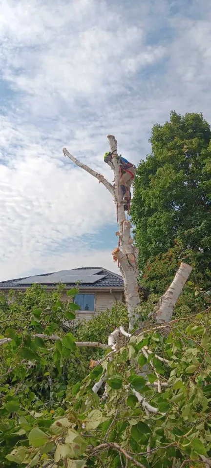 Image from Mike Ash's saved profile
