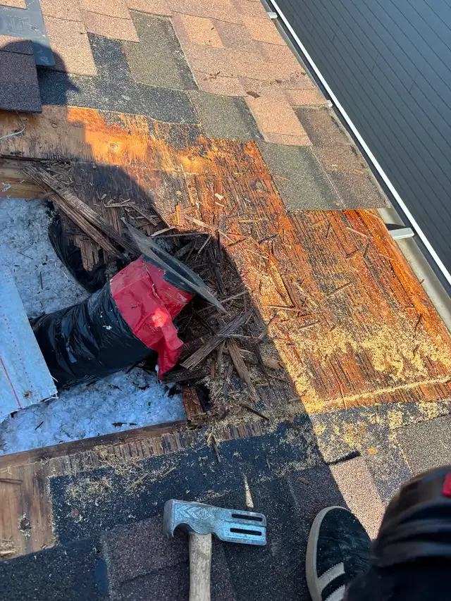 Hanis roofing in Roofing in London - Image 6