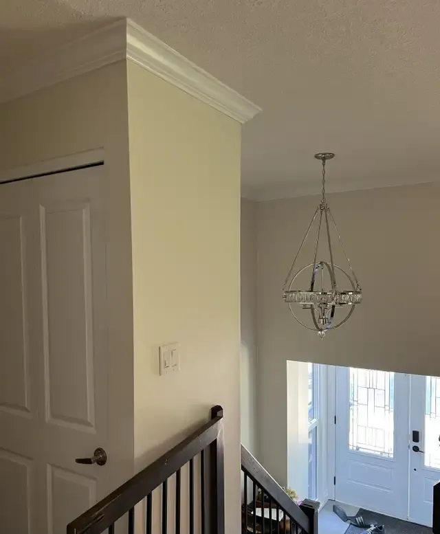Photos