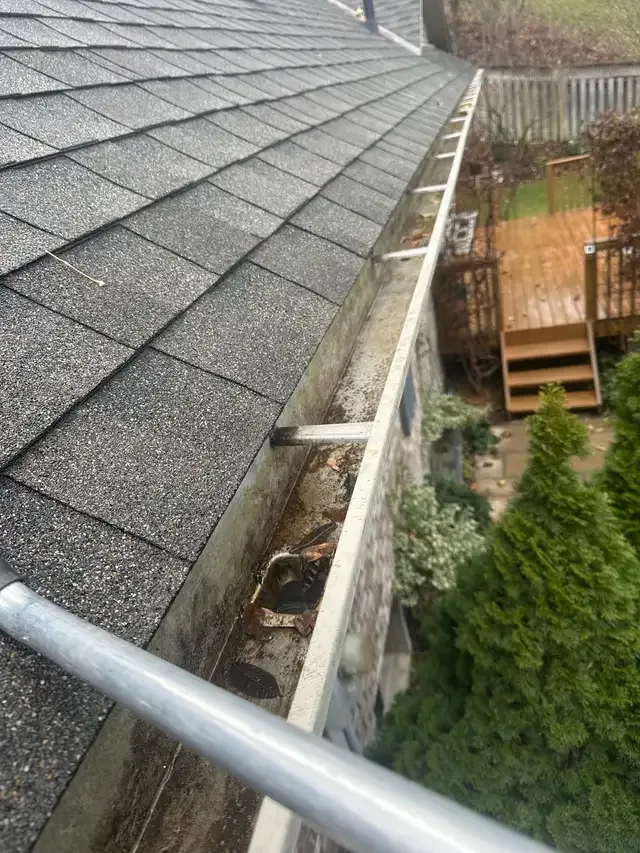 eavestrough cleaning and repairs gutter guards & tree cutting in Lawn, Tree Maintenance & Eavestrough in London - Image 4