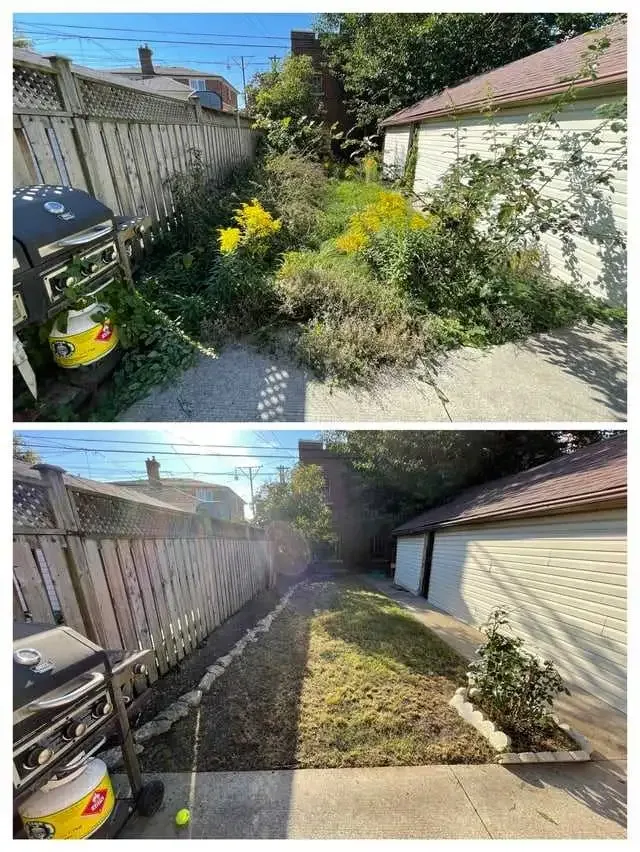 Yard Cleanups  / grass cutting/ more in Lawn, Tree Maintenance & Eavestrough in London - Image 3
