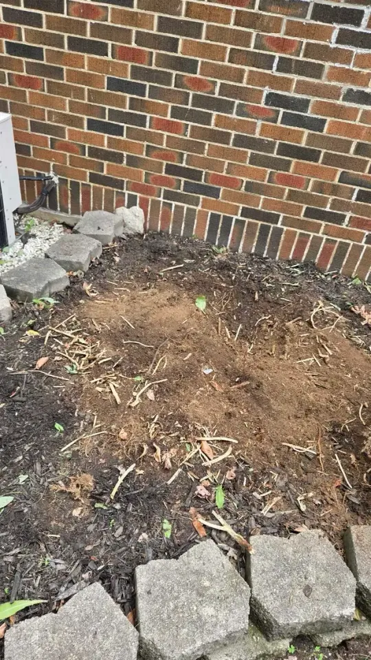 Fall cleanup yard cleaning in Lawn, Tree Maintenance & Eavestrough in London - Image 2