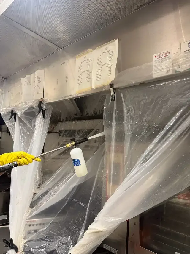 Golden House cleaning in Cleaners & Cleaning in London - Image 5